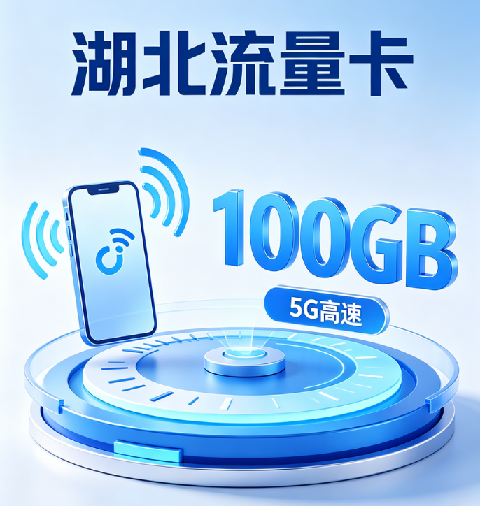 湖北流量卡高速网络示意图